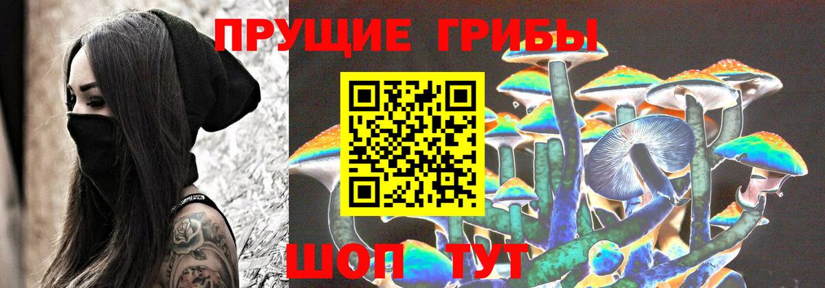 Псилоцибиновые грибы GOLDEN TEACHER  Вход с VPN  Ртищево 