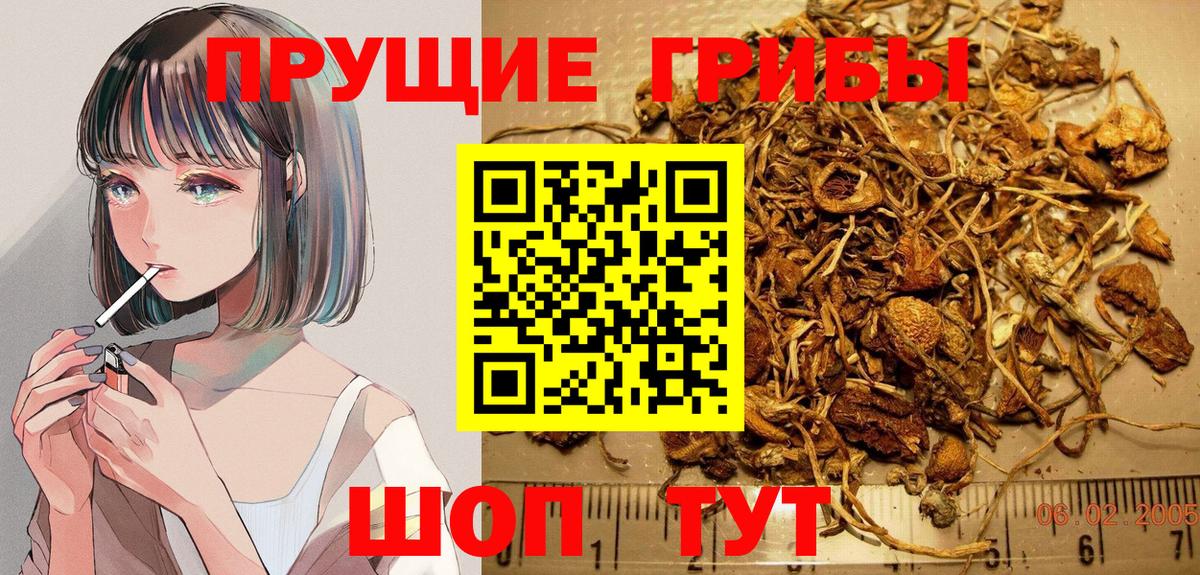 Псилоцибиновые грибы GOLDEN TEACHER Ртищево